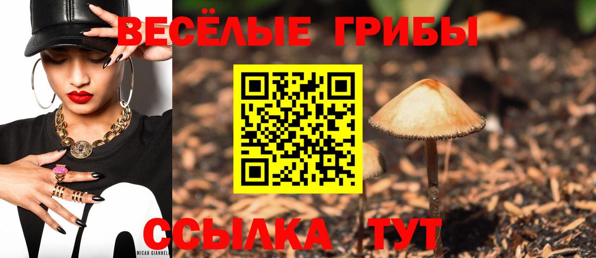 Псилоцибиновые грибы GOLDEN TEACHER  Вход с VPN  Белогорск  Галлюциногенные грибы прущие грибы 